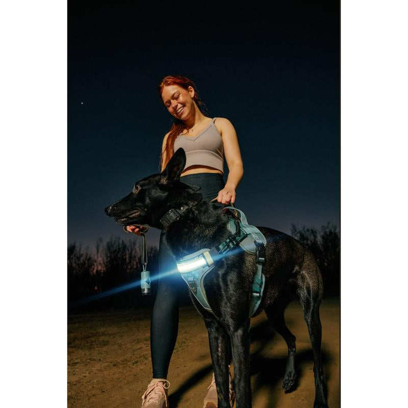 Lumi One 1000-Lumen LED Dog Harness – USB-C Rechargeable & Adjustable for Night Safety