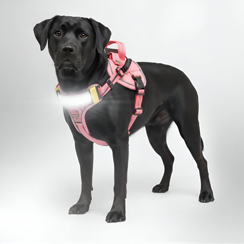 Lumi One 1000-Lumen LED Dog Harness – USB-C Rechargeable & Adjustable for Night Safety