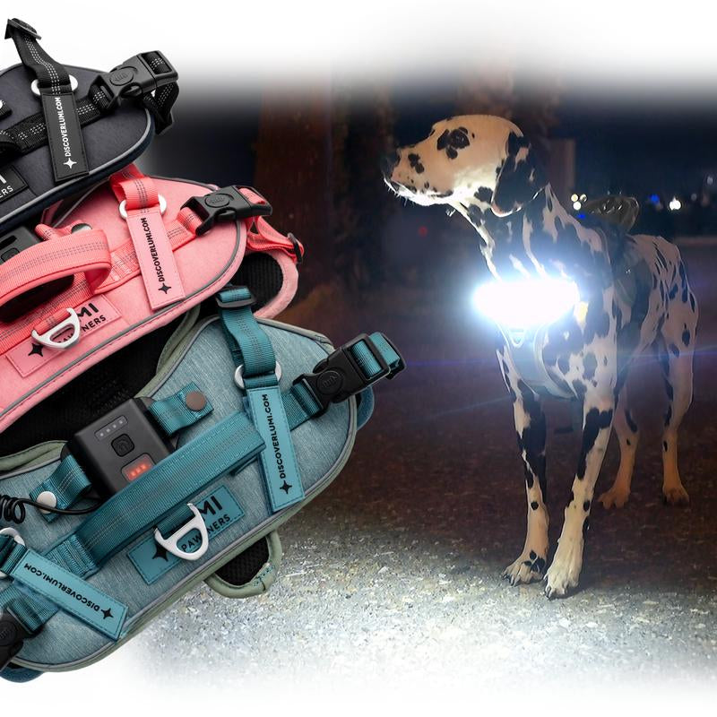 Lumi One 1000-Lumen LED Dog Harness – USB-C Rechargeable & Adjustable for Night Safety