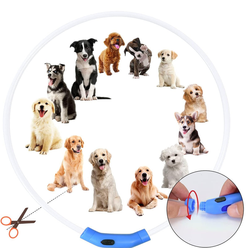 Light-Up LED Dog Collar for Night Walks – Waterproof, Rechargeable, Adjustable Safety Necklace for Dogs (Pink)